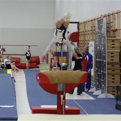 Gymnova_threpamot_2008_1114.jpg