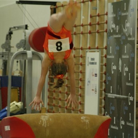 Gymnova_threpamot_2008_265.jpg