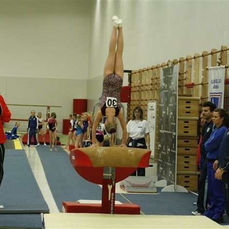 Gymnova_threpamot_2008_299.jpg