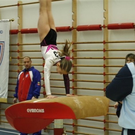 Gymnova_threpamot_2008_303.jpg