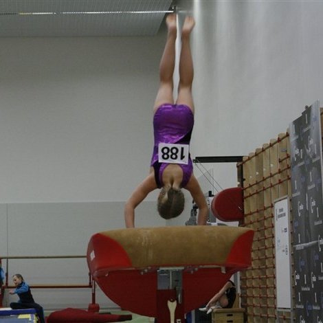 Gymnova_threpamot_2008_676.jpg