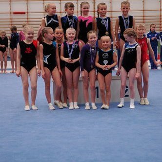 Verðlaun fyrir 2.sætið í 6.þrepi