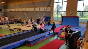 Örnámkskeið þjálfara og sérgreinanámskeið FSÍ 1C