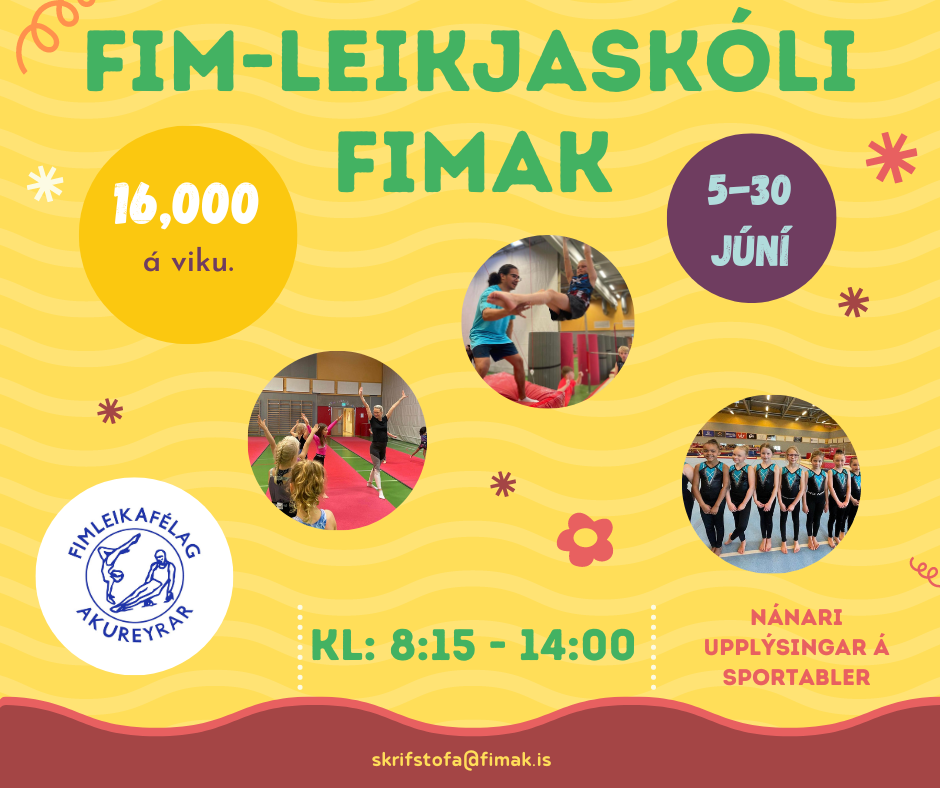 Fim-leikjaskóli FIMAK