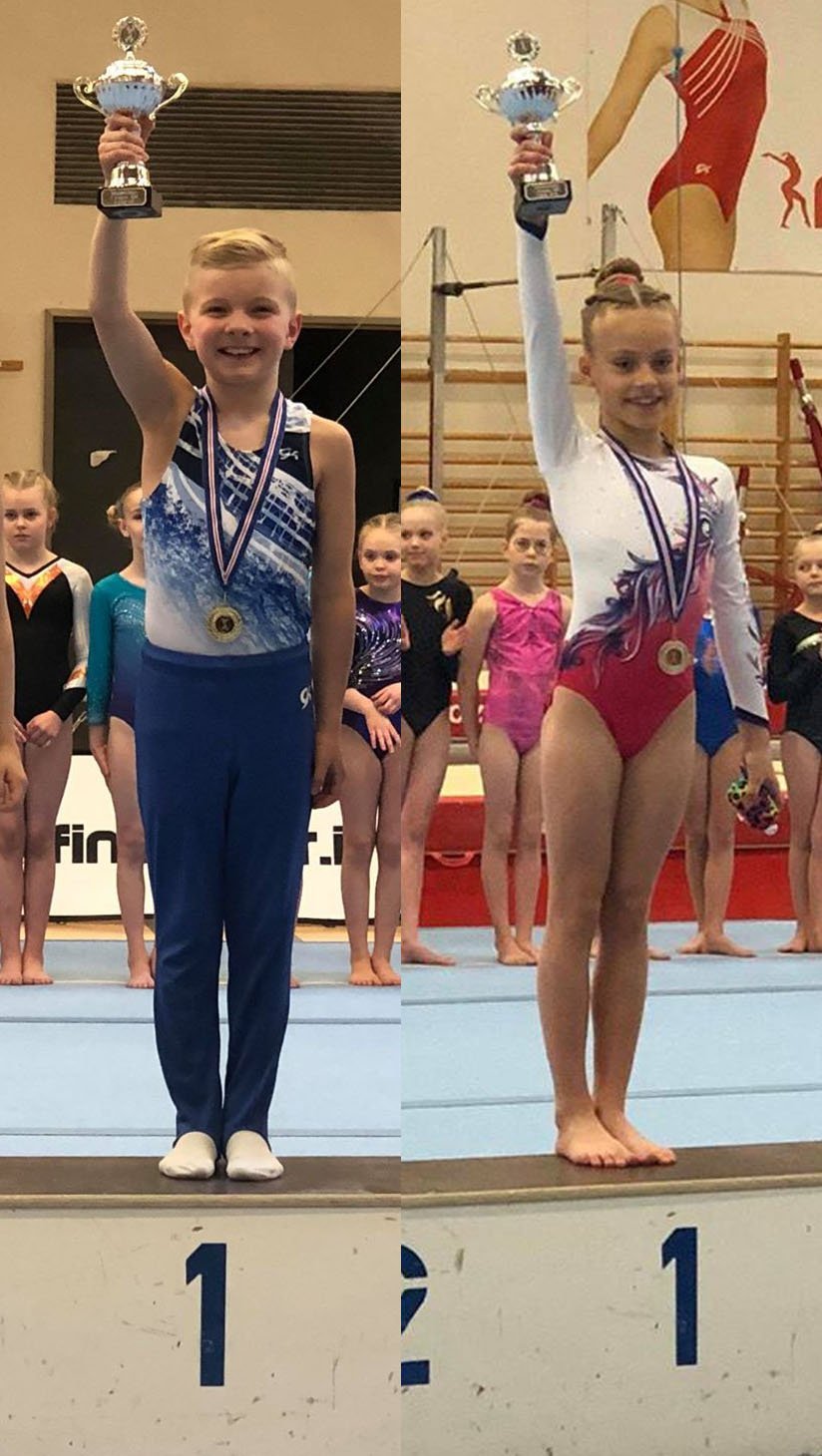 Íslandsmót 2019 í áhaldafimleikum