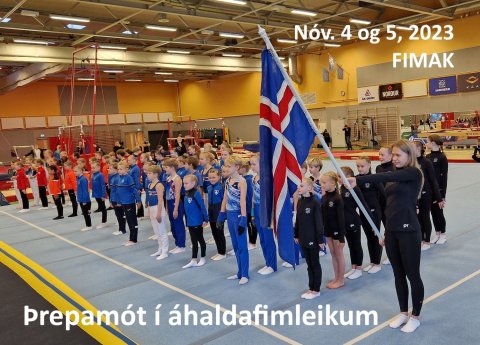 Þrepamót í áhaldafimleikum