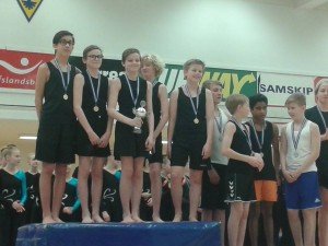 Bikarmeistarar í stökkfimi 2015