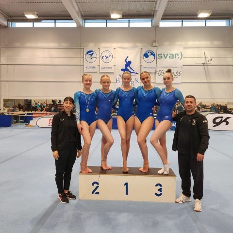 Þrepamót 1 í áhaldafimleikum